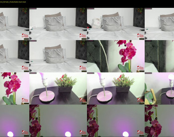 profanared — 14 minute Chaturbate female cam capture, 1080p, Dec 16, 2021