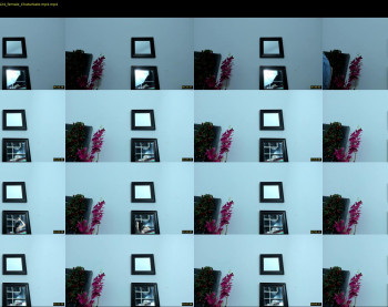 profanared — 5 minute Chaturbate female cam capture, 1080p, Feb 8, 2022