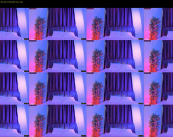 _ho11y_ — 4 minute Chaturbate female cam capture, 720p, Jul 30, 2022