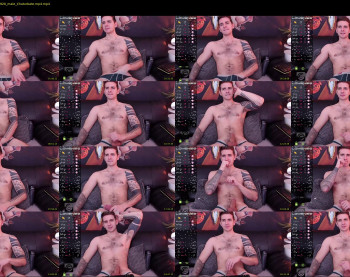 mr_longboy — 30 minute Chaturbate male cam capture, 1080p, Dec 9, 2022