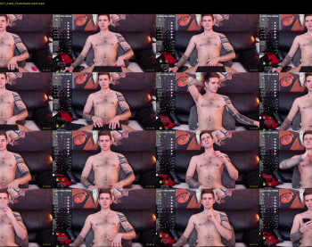 mr_longboy — 30 minute Chaturbate male cam capture, 1080p, Dec 14, 2022