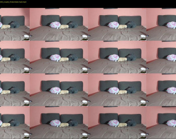katusha008 — 35 minute Chaturbate couple cam capture, 720p, Jun 22, 2025