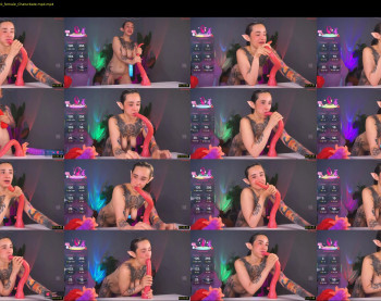 evarabbit — 13 minute Chaturbate female cam capture, 720p, Aug 13, 2025