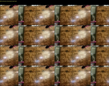 avalonnfoxx — 18 minute Chaturbate female cam capture, 720p, Dec 8, 2025