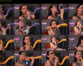 evarabbit — 120 minute Chaturbate female cam capture, 720p, Dec 14, 2025