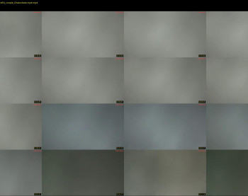 wekittycluby — 45 minute Chaturbate couple cam capture, 480p, Jan 8, 2026