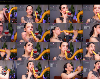 evarabbit — 29 minute Chaturbate female cam capture, 720p, Jan 22, 2026