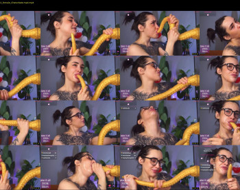 evarabbit — 48 minute Chaturbate female cam capture, 720p, Jan 29, 2026