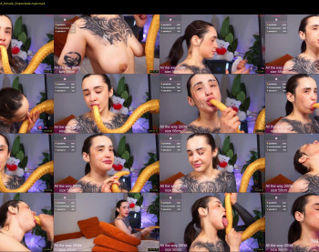 evarabbit — 81 minute Chaturbate female cam capture, 720p, Feb 8, 2026
