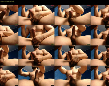 alex_blu — 14 minute Chaturbate male cam capture, 480p, Feb 20, 2026
